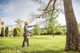 How Our Tree Care Process Works  in  Mountain Brook, AL